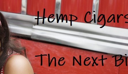 The best thing about hemp cigars is the hot chicks